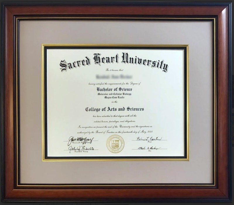 Image of Framed Sacred Heart University Diploma